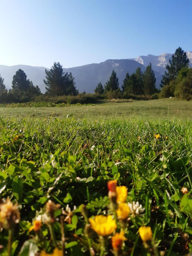 Green Cottage Blidinje Dış mekan fotoğraf