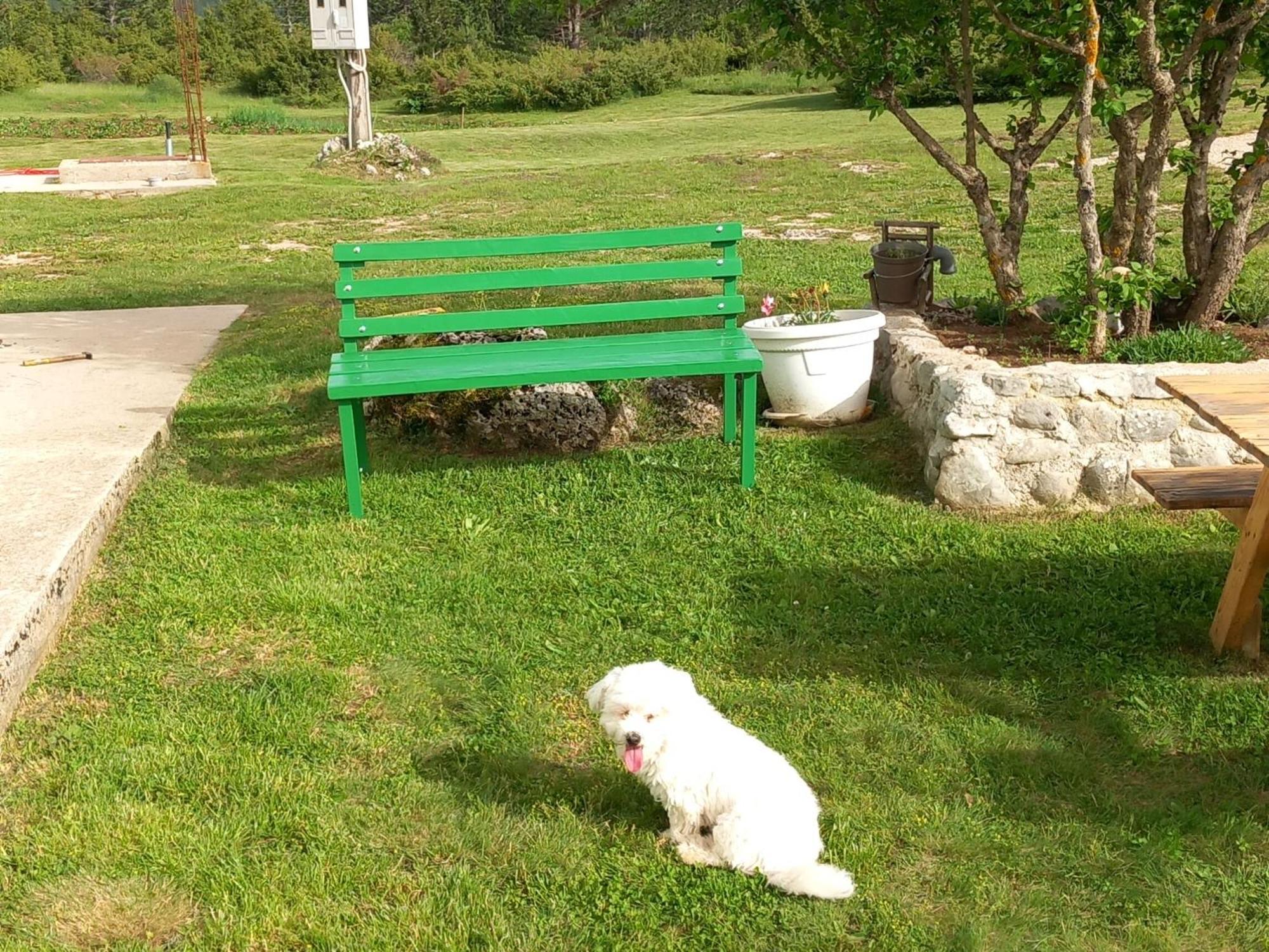 Green Cottage Blidinje Dış mekan fotoğraf